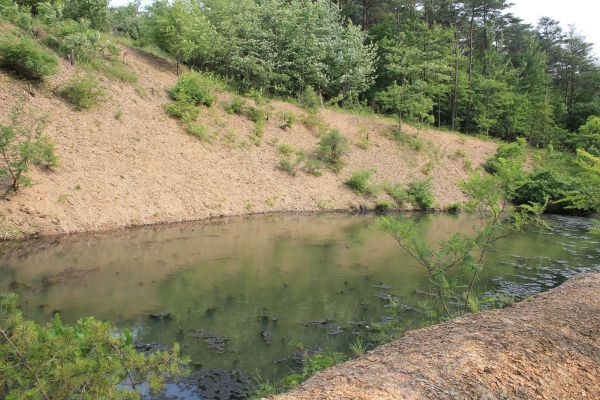 Pond Erosion Repair in La Crosse
