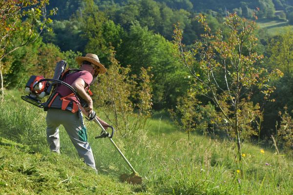 Cost of Slope Trimming in La Crosse